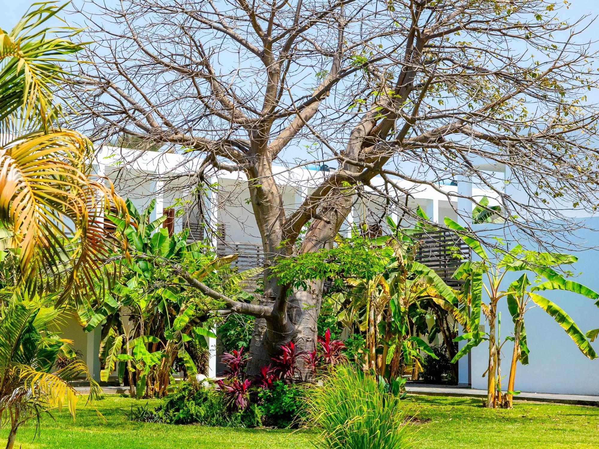 Tamala Beach Resort (Adults Only) Kotu Exterior photo
